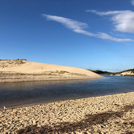 Chaleureux appartement à 500m de l’océan et 150m du Golf Moliets-Plage Exterior foto